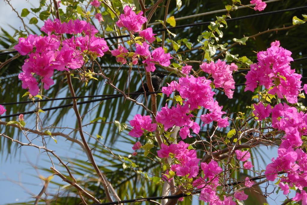 Sandy Bliss Apartamento